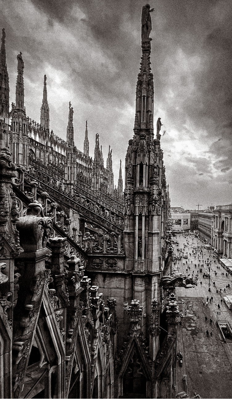 Photo by OLHA CHEREDNYCHENKO