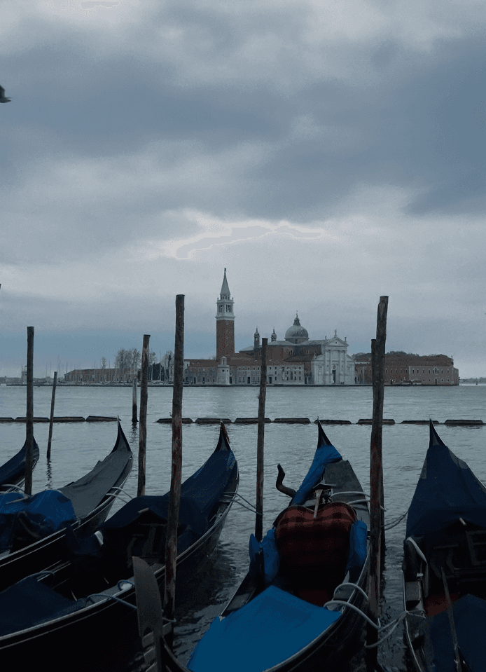 Voting in Venice